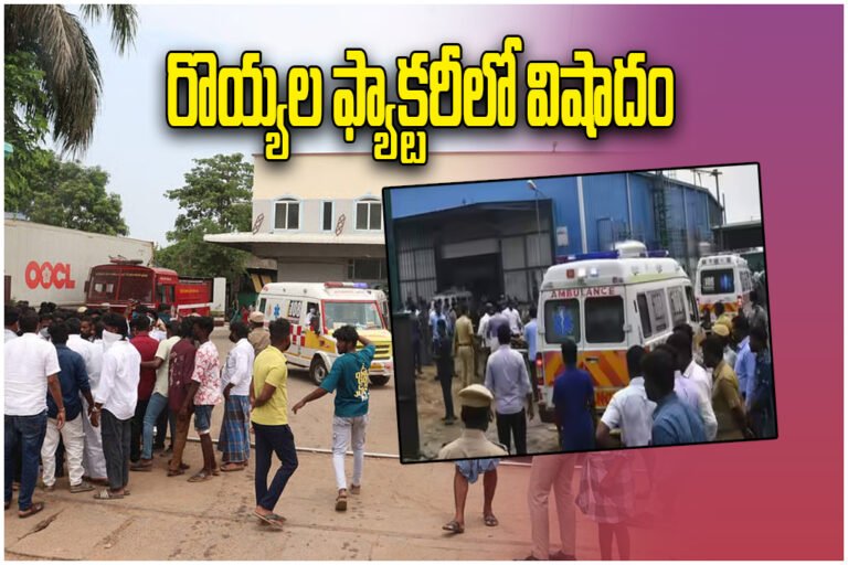 Tamil Nadu Ammonia Gas Leak