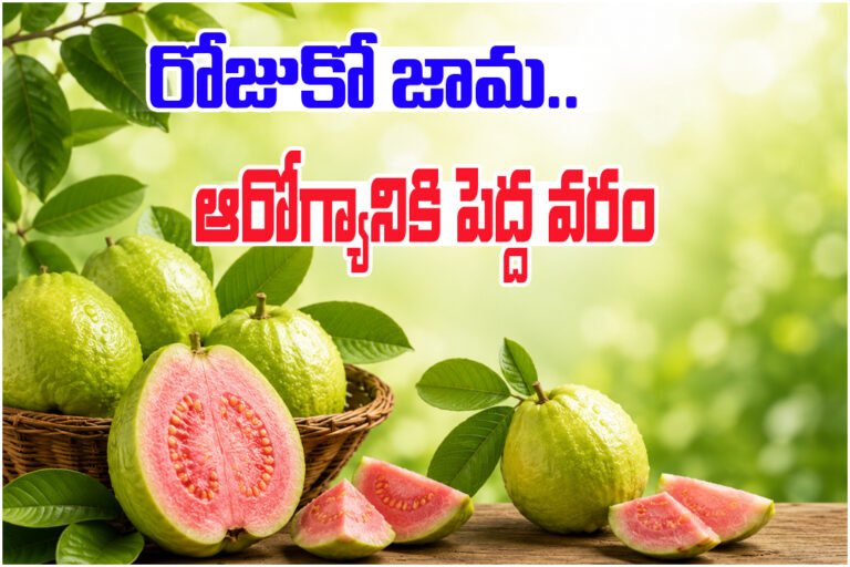 Health Benefits of Eating Guava Daily