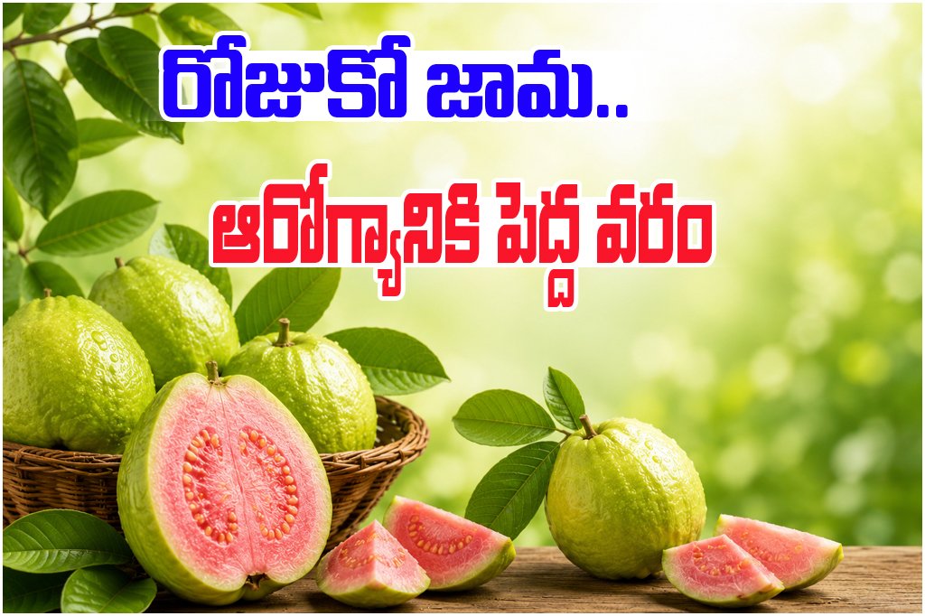 Health Benefits of Eating Guava Daily