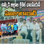 United Districts Cricket Tournament
