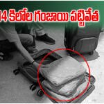 Jangaon 14KG Ganja Seizure