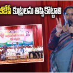 MP Kadiyam Kavya Voter Rights