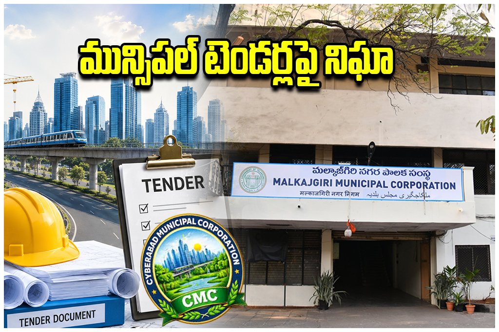 Municipal Tender Monitoring Committees