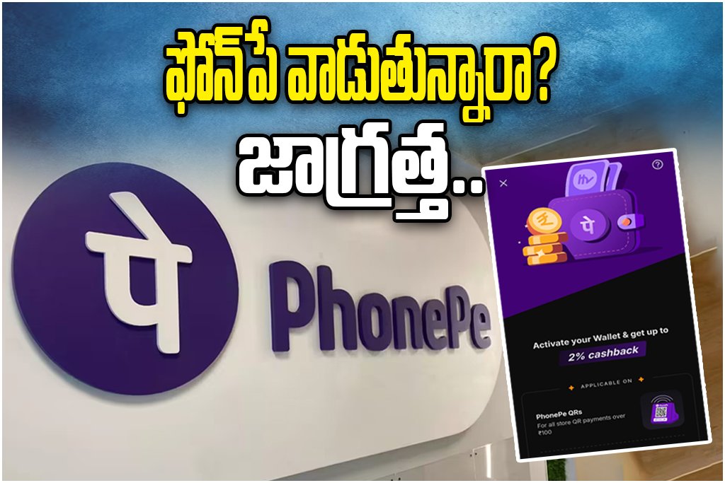 PhonePe Inactive Wallet Charges