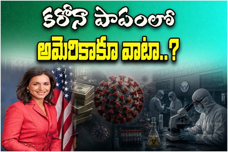 America Fund Wuhan Lab Research?