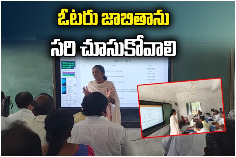 BLAs Voter List Verification
