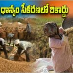 Telangana Paddy Procurement Record