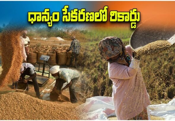 Telangana Paddy Procurement Record