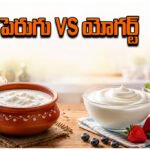 curd vs yogurt comparison