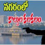 Malkajgiri Wife Shooting Murder