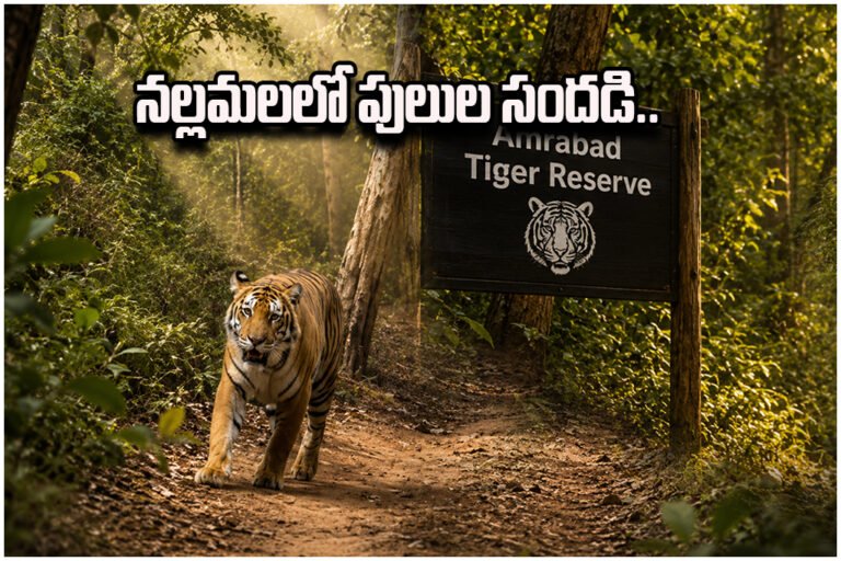 nallamalla forest Amrabad Tiger Reserve
