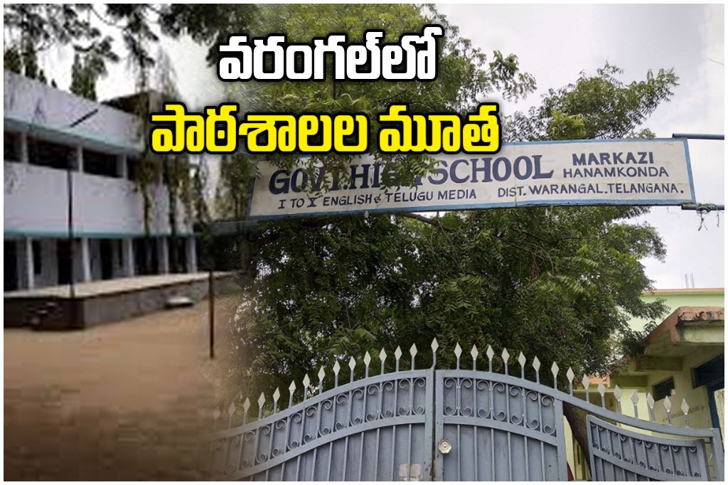 Warangal Government Schools Closure