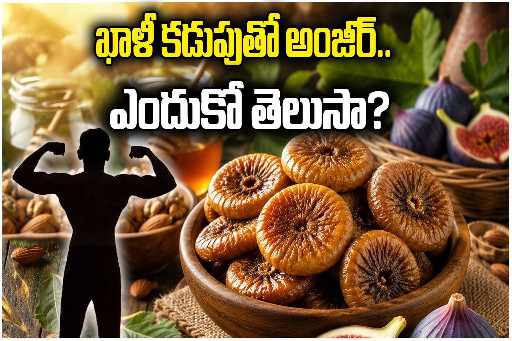 BENEFITS OF ANJEER