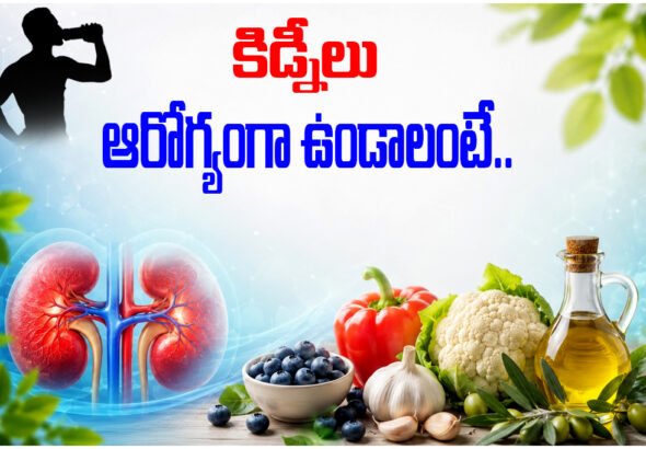 BEST FOOD FOR KIDNEYS