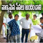 Satya Sharada RHTC Inspection