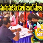HANAMKONDA JOB MELA