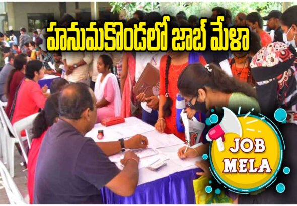 HANAMKONDA JOB MELA