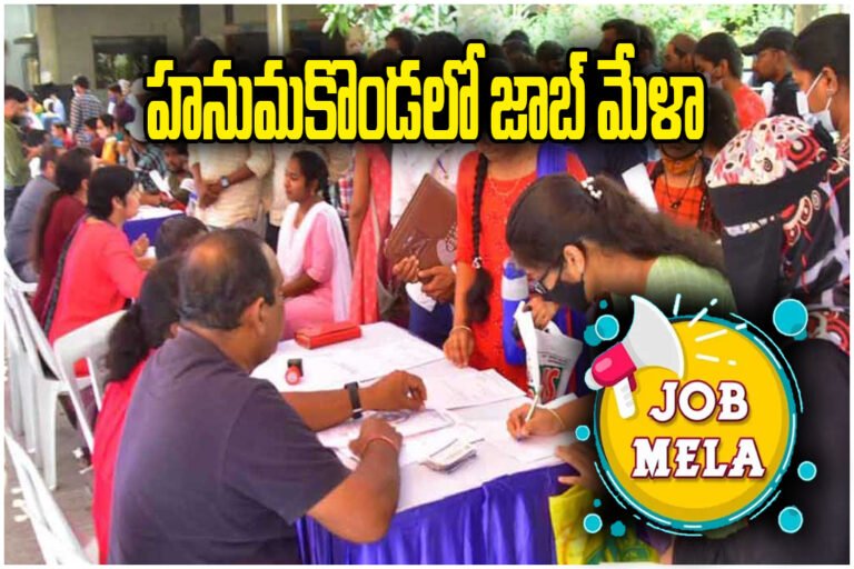 HANAMKONDA JOB MELA