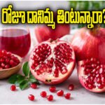 Pomegranate Health Benefits