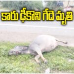 Rayaparthy Buffalo Road Accident