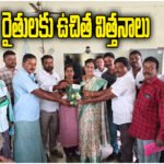 Free Cotton Seed Distribution