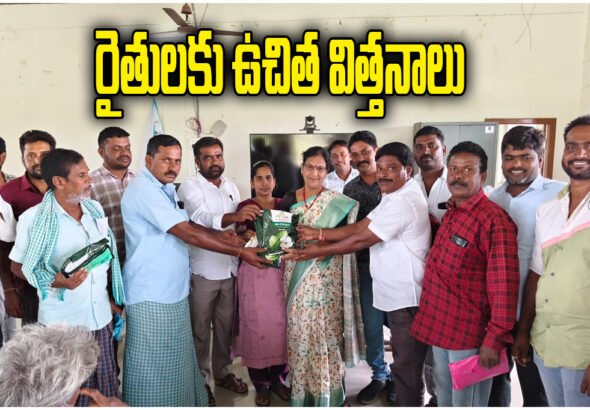 Free Cotton Seed Distribution