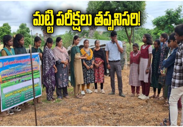 Soil Testing Crop Cultivation
