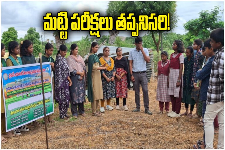 Soil Testing Crop Cultivation