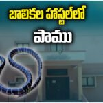 Snake Bite Hostel Tragedy