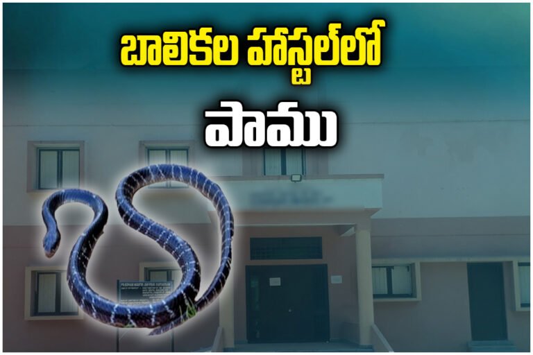 Snake Bite Hostel Tragedy