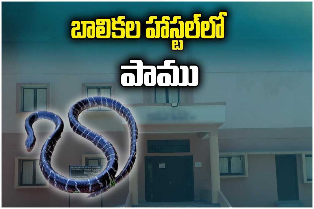 Snake Bite Hostel Tragedy