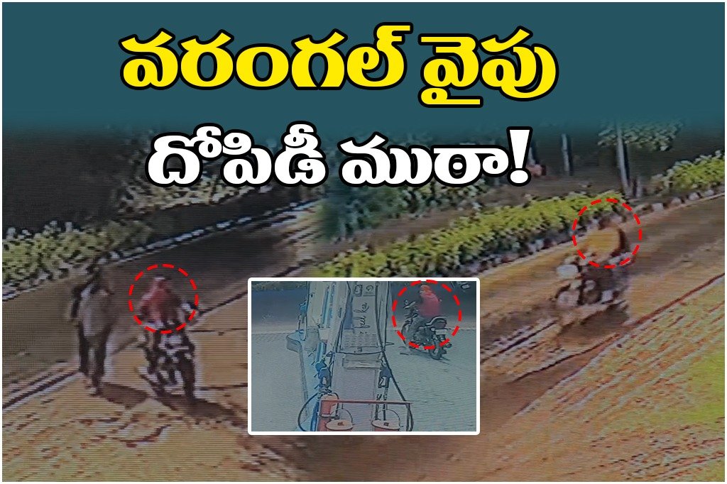 warangal high alert