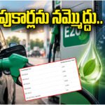 E20 Petrol Safety