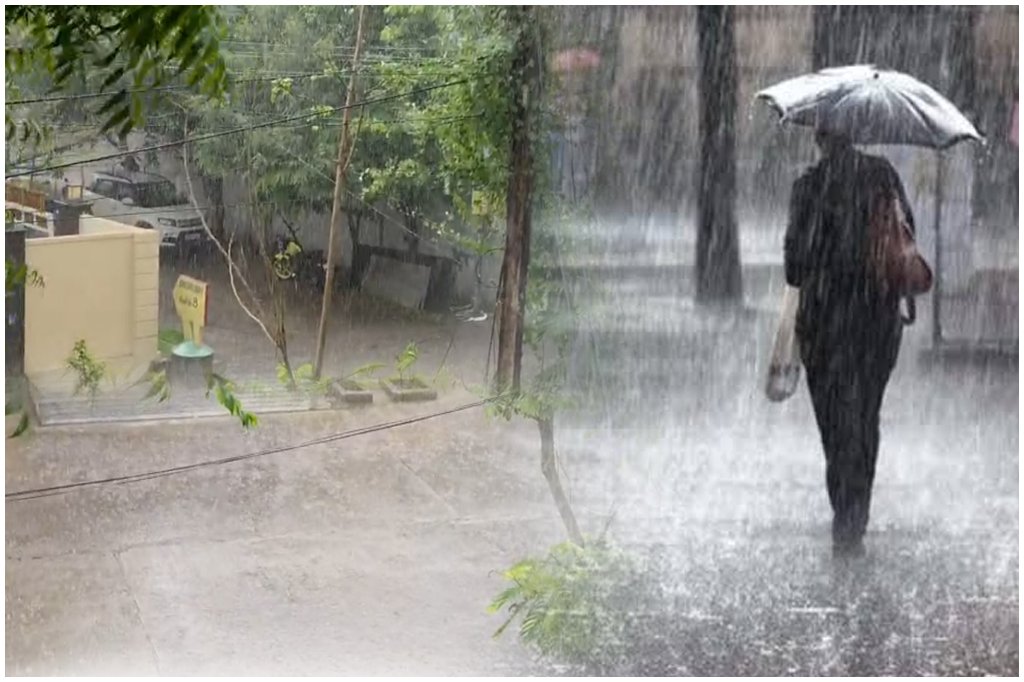 Hanamkonda Rain Farmers Relief