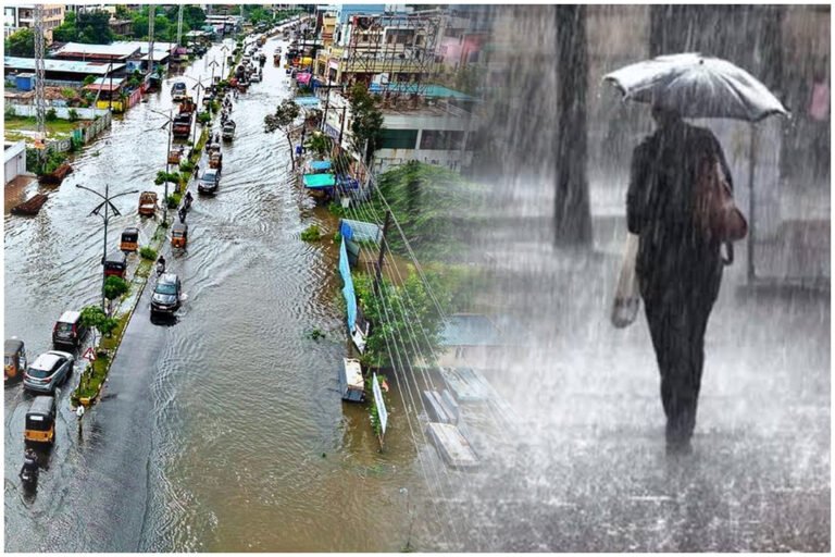 Hanamkonda Rain Farmers Relief