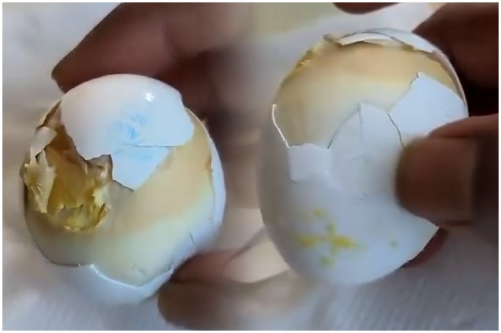 Anganwadi Rotten Eggs Hyderabad