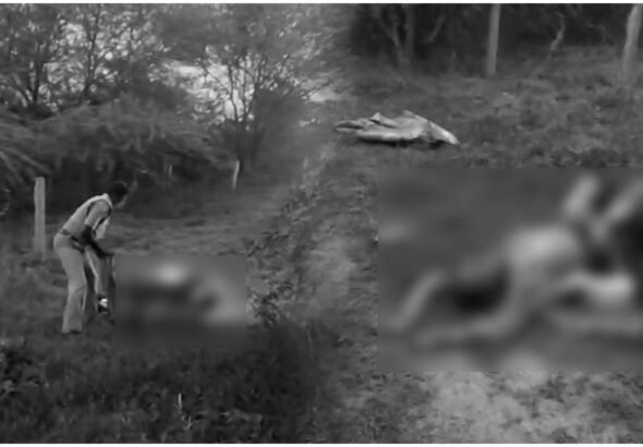 Warangal Police Suicide Attempt Rescue