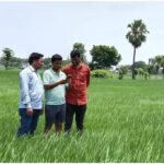 Digital Crop Booking Kamalapur