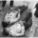 Mulugu Two Brothers Died