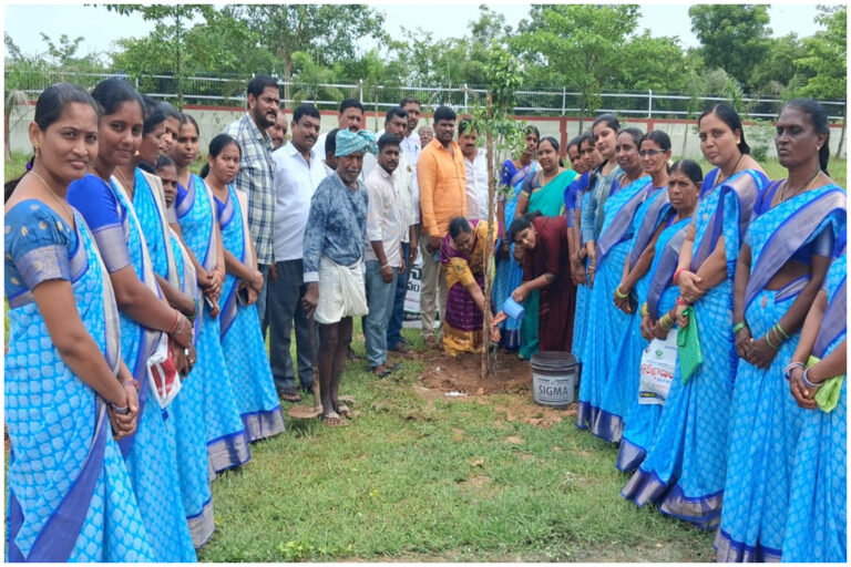 Palakurthi Tree Plantation