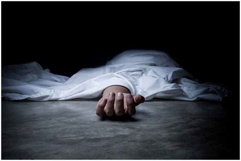 Telangana students killed in Florida accident