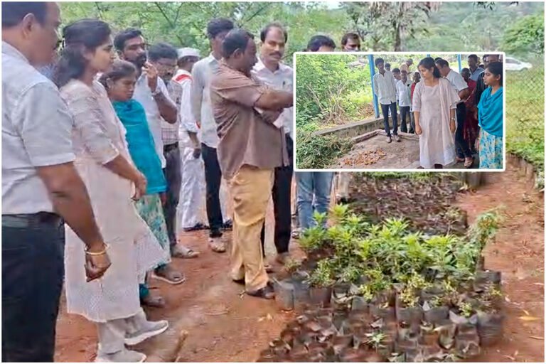Kothagattu Collector Inspection