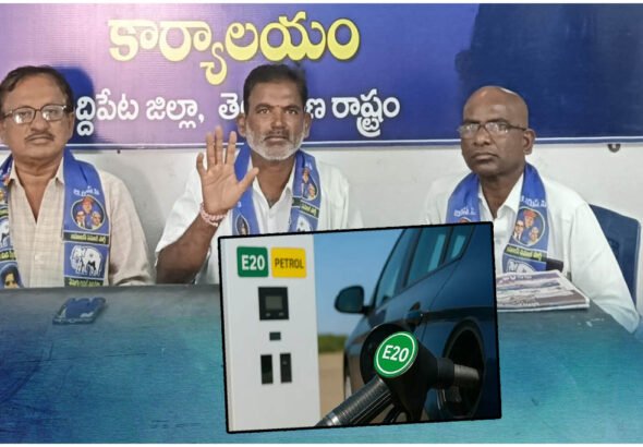 E20 Petrol Decision