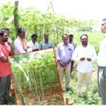 Farmer Subsidy Schemes