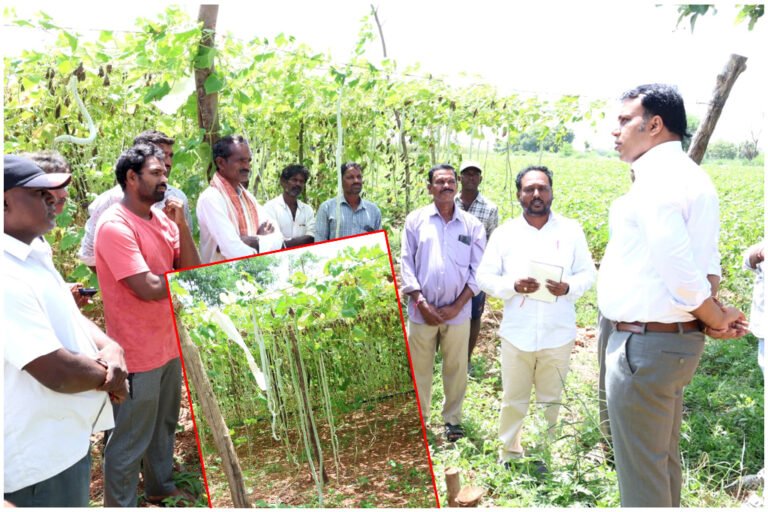 Farmer Subsidy Schemes