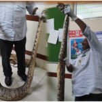 Jangaon Python Attack