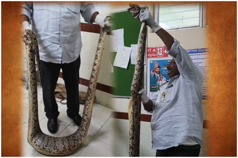 Jangaon Python Attack