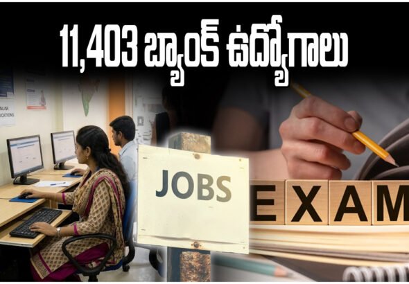 IBPS Clerk Notification 2026