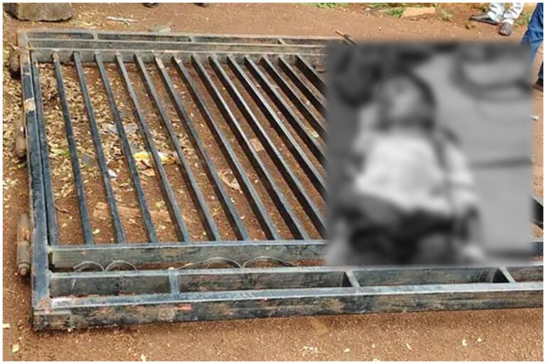 Balodabazar School Gate Accident