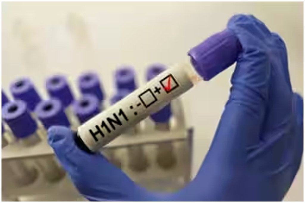 Chhattisgarh Swine Flu Cases